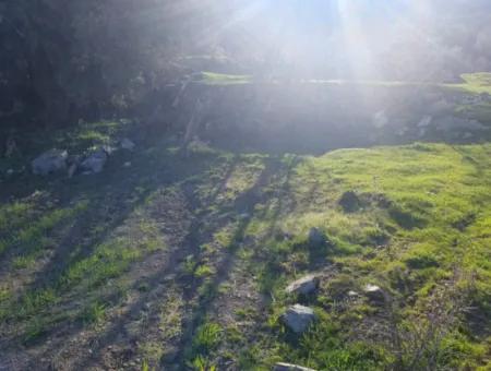 Denizli Çameli Kirazlıyayla Nature View 2 223 M2 Detached Land For Sale