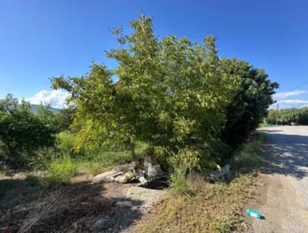 1129 M2 Zoned Land For Sale In Ortaca Dalaklı