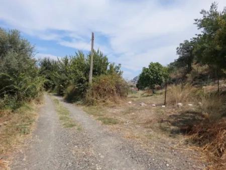 Mountainfront Fertile 1.680 M2 Land For Sale In Dalyan, Muğla