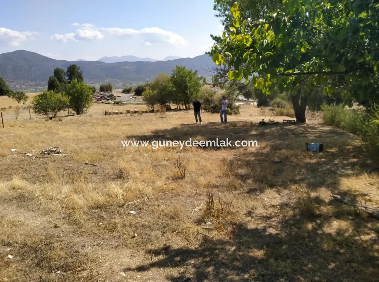 Denizli Çameli Yeni Mevkinde 407 M2 Müstakil Tapu Arsa