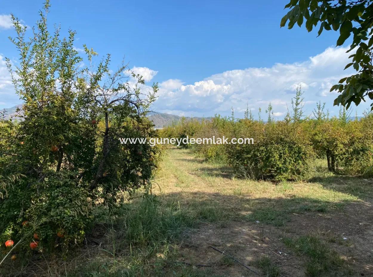 Ortaca Karaburunda 2888M2 Tarla Satılık