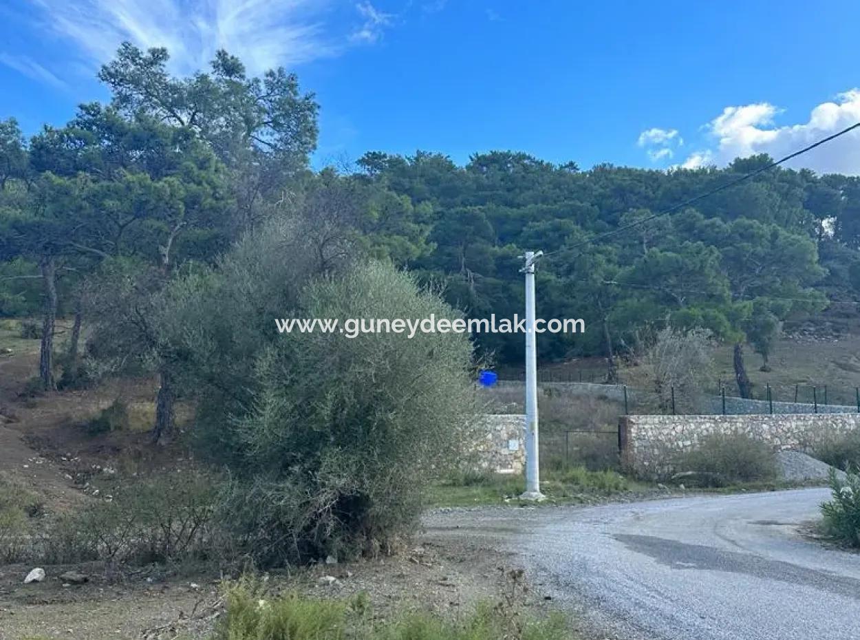 Dalyan Gökbelde 1084 M2 Köşe Parsel Satılık