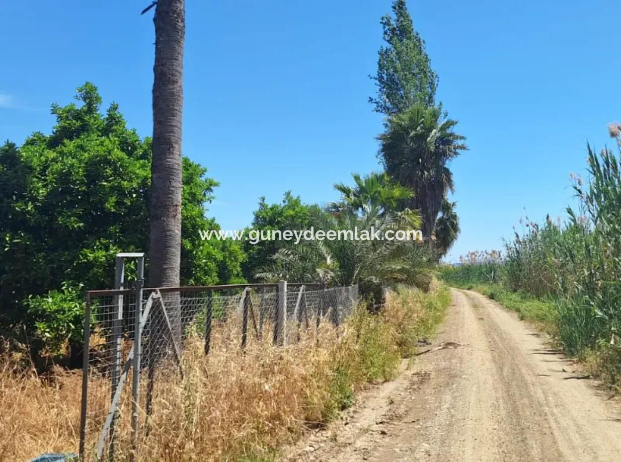 Köyceğiz Toparlarda 17.000 M2 Portakal Bahçesinde 3+1 Satılık Köy Evi