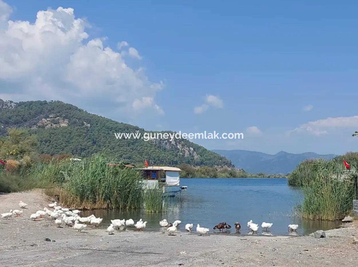 Muğla Ortaca Dalyanda Kanala Yakın 7.353 M2 Müstakil Arazi Satılık