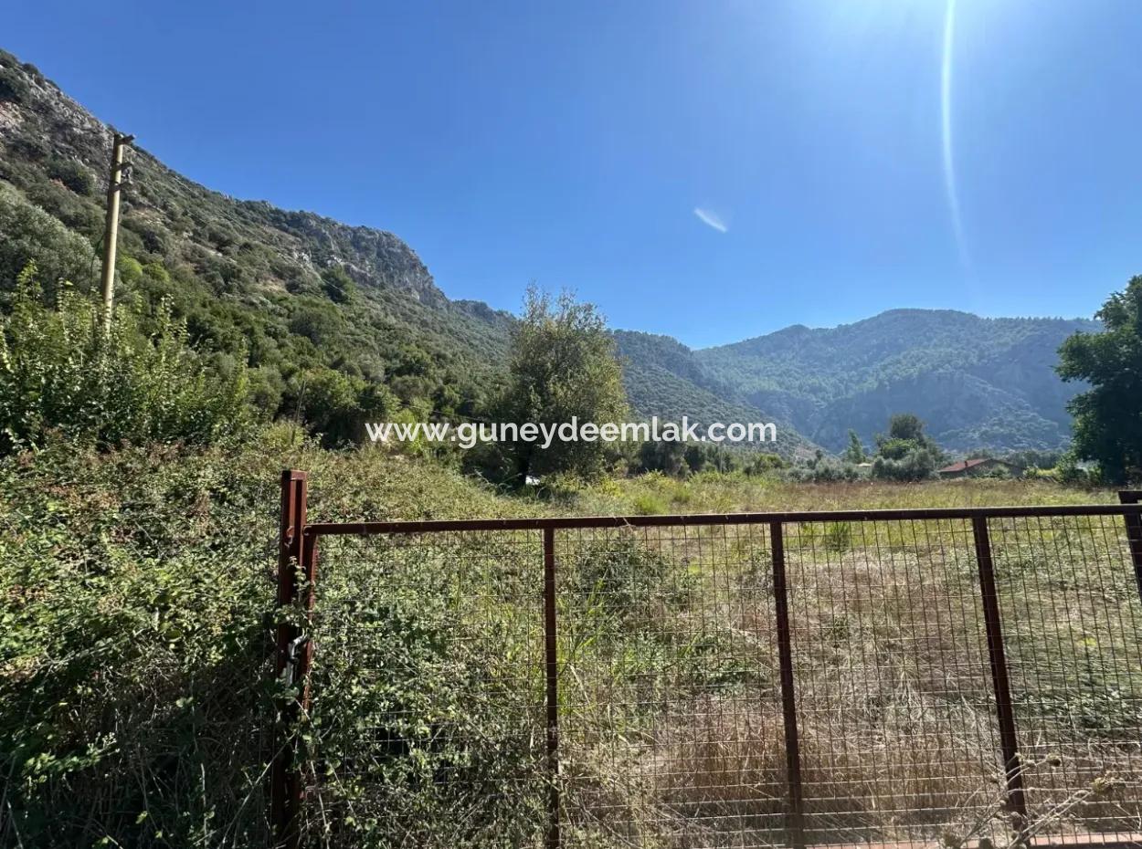 Dalyan Marmarlıda 3073 M2 Tarla Kiralık