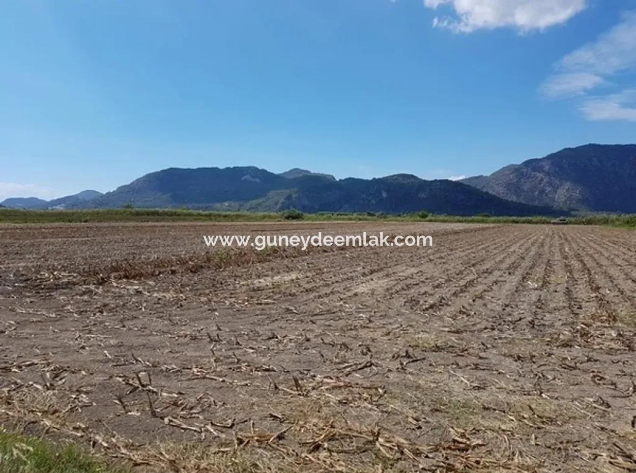 Ortaca Güzelyurtta Satılık Kelepir Verimli Arazi