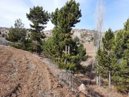 Denizli Çameli Cumaalanında Satılık 15.250 M2 Kelepir Arazi