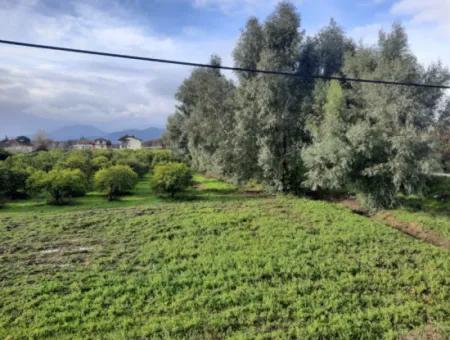 Mugla Köyceğiz Toparlar Da Satılık Anayola Sıfır 2 800  M2 Ticari İmarlı Arsa