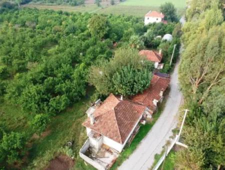 Muğla Ortaca Marmarlıda 4.000 M2  Limon Bahçesi 5 Yıllık Kiralık