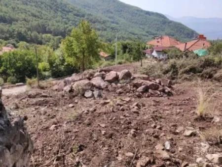 Muğla Köyceğiz Yayla Mah 560 M2 Arsa Satılık