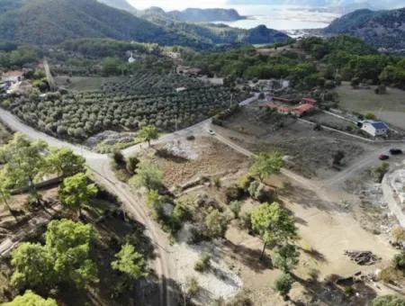 Dalyan Gökbelde 1084 M2 Köşe Parsel Satılık