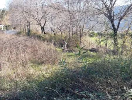 Muğla Dalyanda Kiralık 1500 M2 İmarlı Arsa