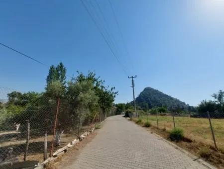 Köyceğiz Çandır Dalyan Kanalına Sıfır 1000 M2 Arazi Satılık