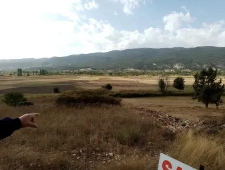 Denizli Çameli Belevi Mahallesinde 2603 M2  Tarla Satılık